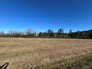 Lot12,10.8+-ac Willie Varnum Rd/D Hodge Rd, Cottonwood, AL 36320