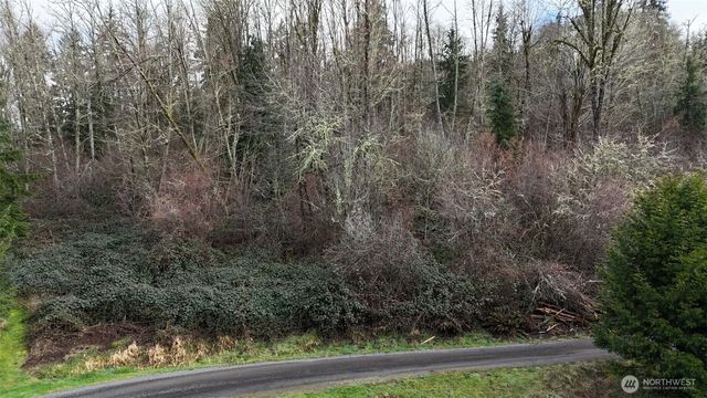 0 Ciannigan Hill, Mossyrock, WA 98564