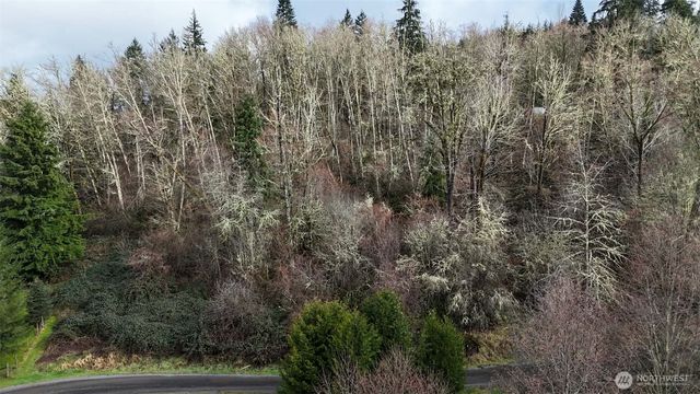 0 Ciannigan Hill, Mossyrock, WA 98564