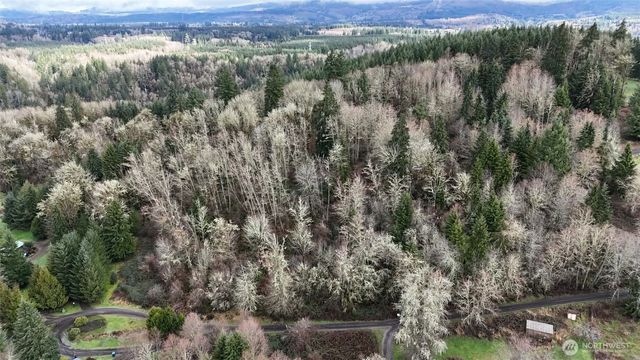 0 Ciannigan Hill, Mossyrock, WA 98564