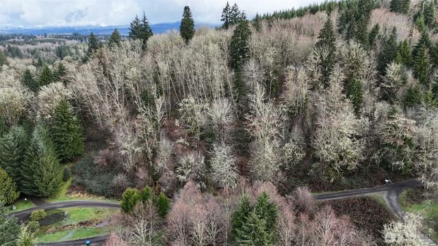 0 Ciannigan Hill, Mossyrock, WA 98564
