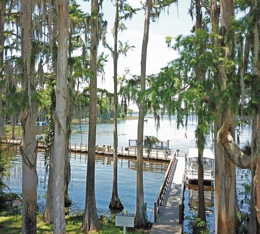 3439 MACLAREN DRIVE, Palm Harbor, FL 34684