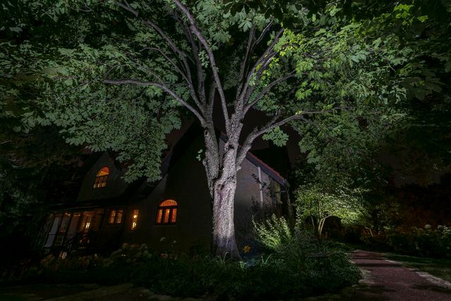 104 N Julian Street, Naperville, IL 60540
