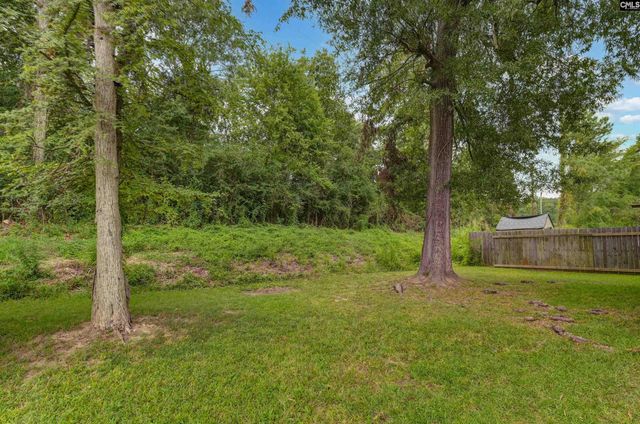 228 Barger Circle, Irmo, SC 29063