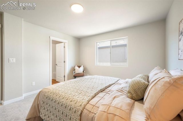 5169 Palomino Ranch Point, Colorado Springs, CO 80922