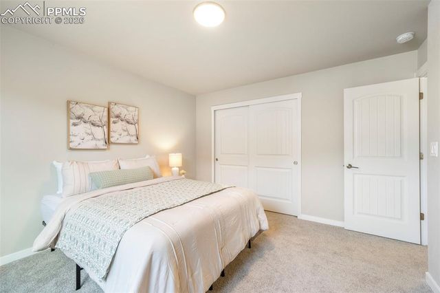 5169 Palomino Ranch Point, Colorado Springs, CO 80922