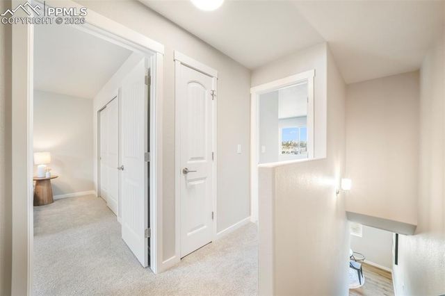 5169 Palomino Ranch Point, Colorado Springs, CO 80922