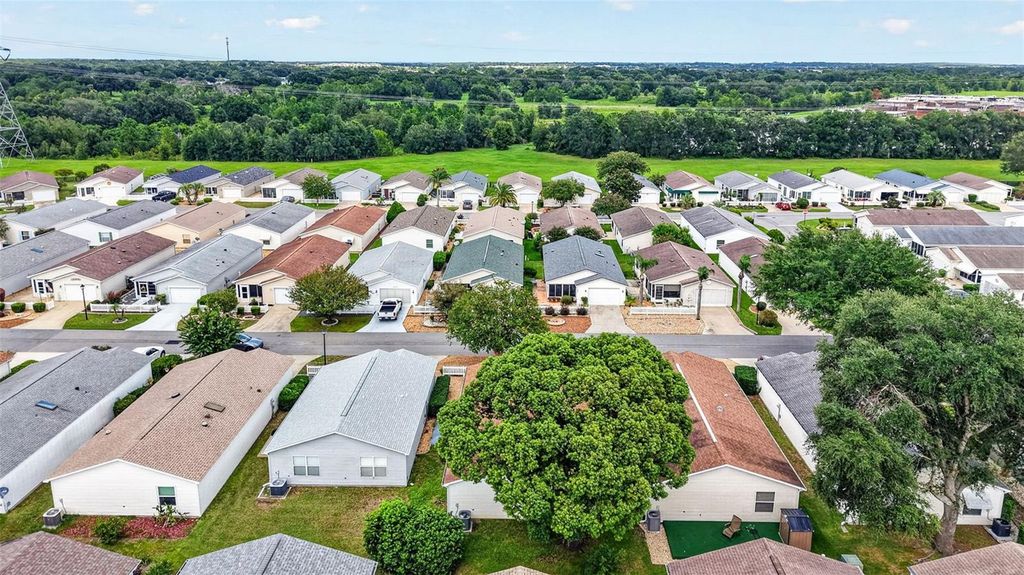 Image 41 of property listing at 1606 CAMPOS DRIVE, The Villages, FL 32162