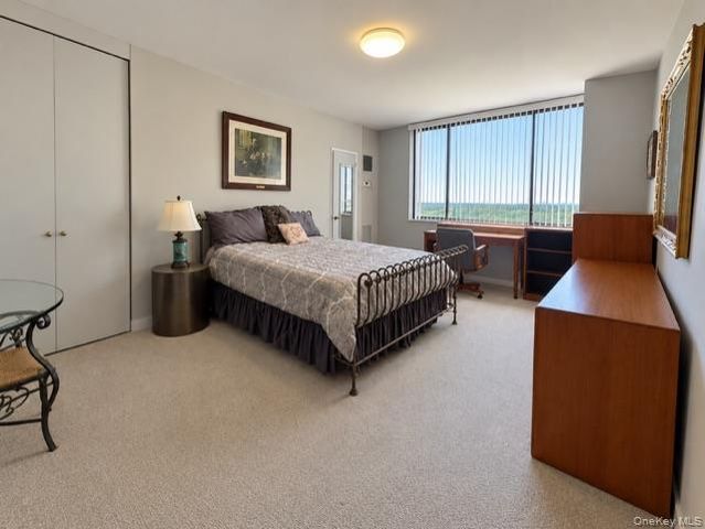 26910 Grand Central Parkway 15B, Floral Park, NY 11005