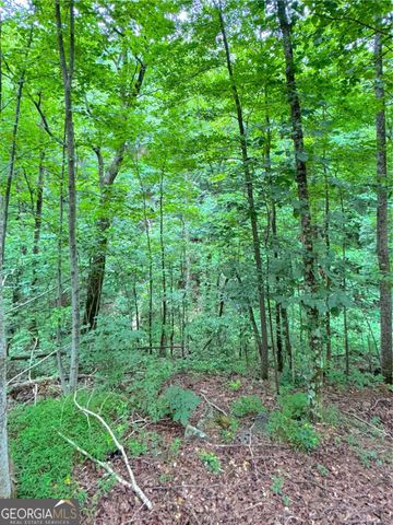 655 Mount Sequoyah Road, Jasper, GA 30143
