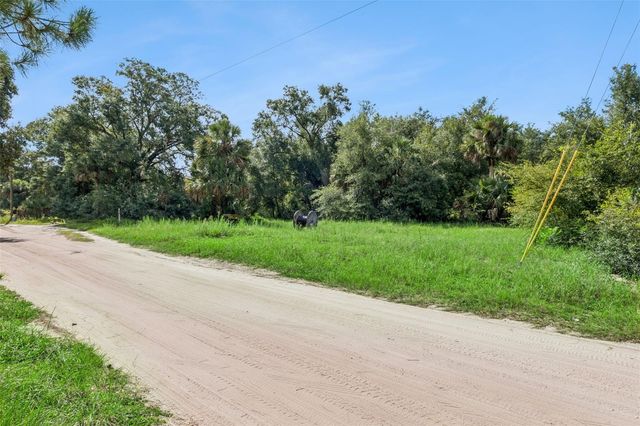 22308 HORIZON VISTAS DRIVE, Eustis, FL 32736