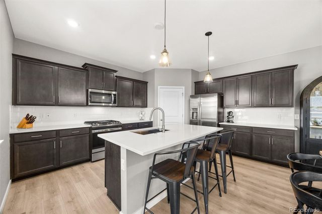 17369 Red Cosmos Point, Parker, CO 80134