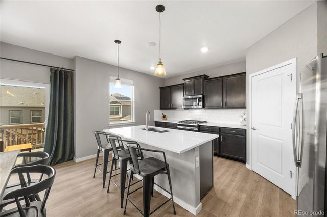 17369 Red Cosmos Point, Parker, CO 80134