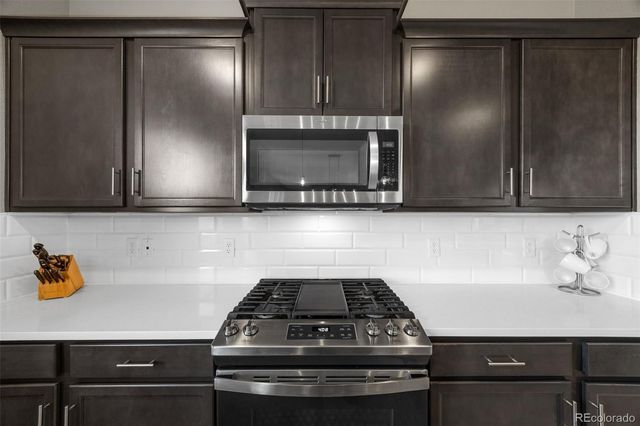 17369 Red Cosmos Point, Parker, CO 80134