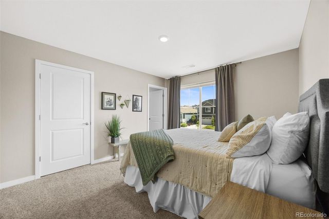 17369 Red Cosmos Point, Parker, CO 80134