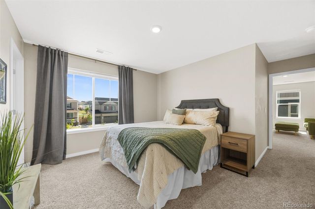 17369 Red Cosmos Point, Parker, CO 80134