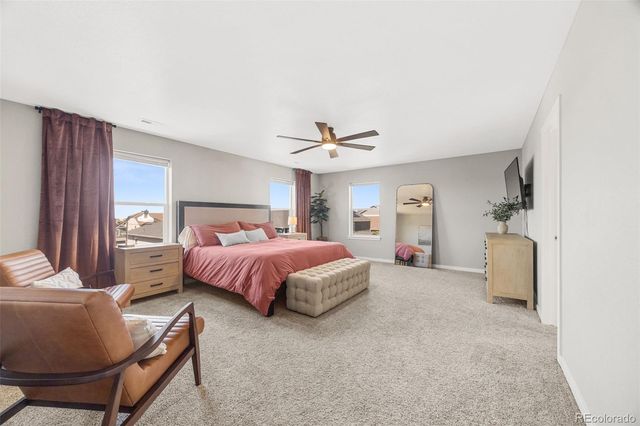 17369 Red Cosmos Point, Parker, CO 80134