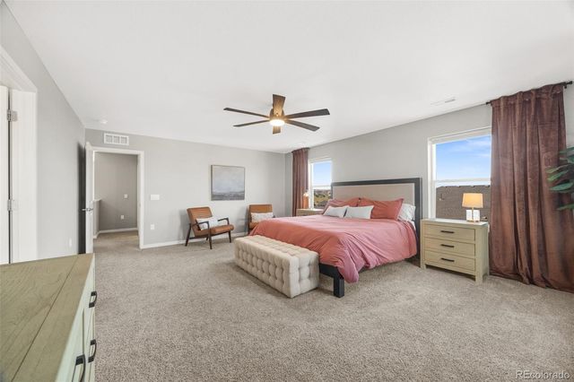 17369 Red Cosmos Point, Parker, CO 80134