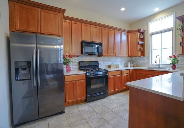 155 Festival Court, Elgin, IL 60120