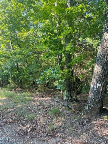 LT 33 Buck Creek Road, Ellijay, GA 30540