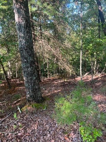 LT 33 Buck Creek Road, Ellijay, GA 30540