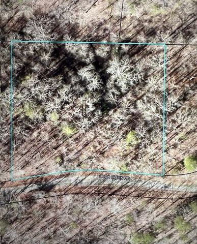 LT 33 Buck Creek Road, Ellijay, GA 30540