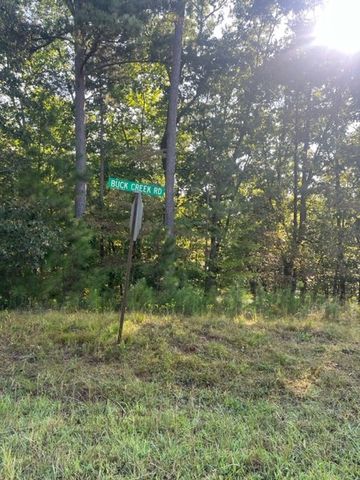 LT 33 Buck Creek Road, Ellijay, GA 30540