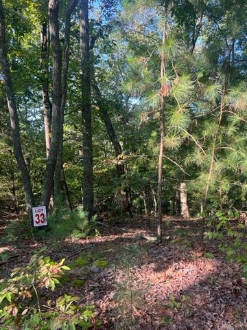 LT 33 Buck Creek Road, Ellijay, GA 30540