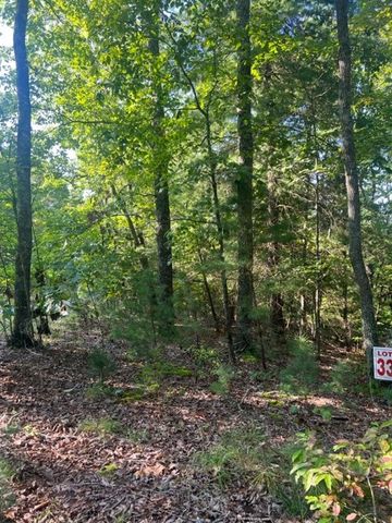 LT 33 Buck Creek Road, Ellijay, GA 30540