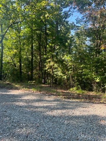 LT 33 Buck Creek Road, Ellijay, GA 30540