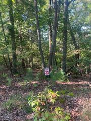LT 33 Buck Creek Road, Ellijay, GA 30540