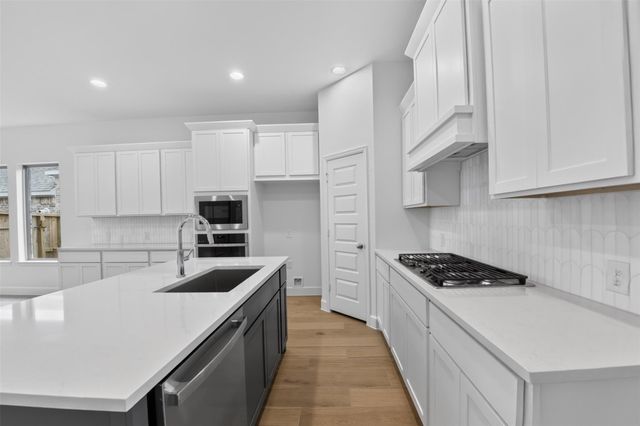 27330 Scarlet Paint Brush Drive, Hockley, TX 77447