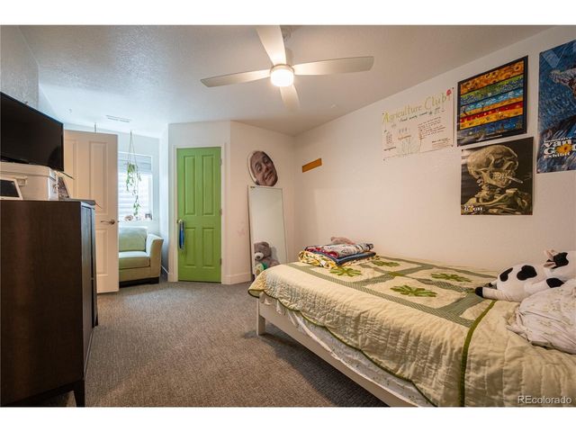 2310 Woodhouse Ln, Castle Rock, CO 80109