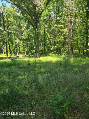 8300 Springridge Road, Terry, MS 39170