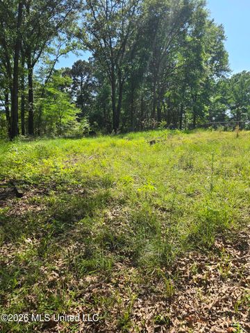 8300 Springridge Road, Terry, MS 39170
