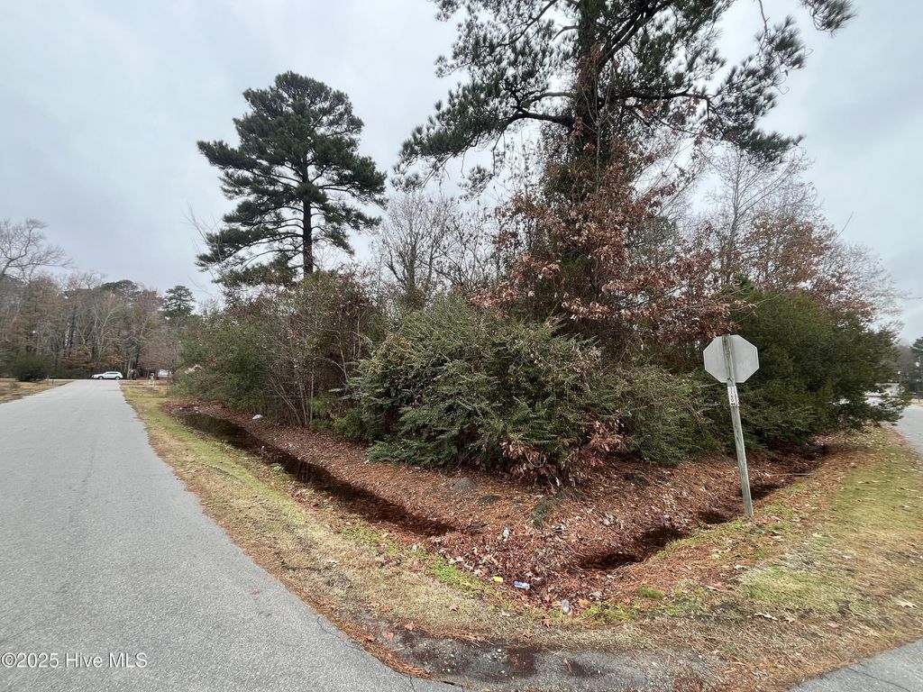 307 Pineview Drive, Edenton, NC 27932