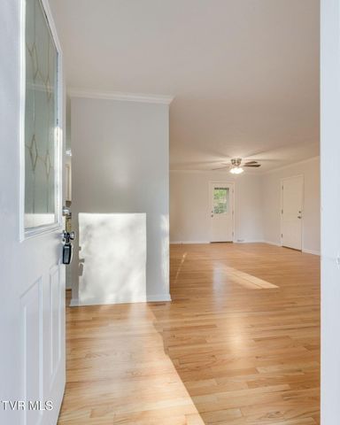 506 Edgewood Drive, Mount Carmel, TN 37645
