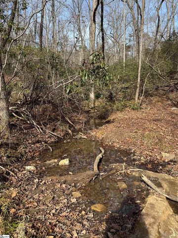Butter Street, Landrum, SC 29356