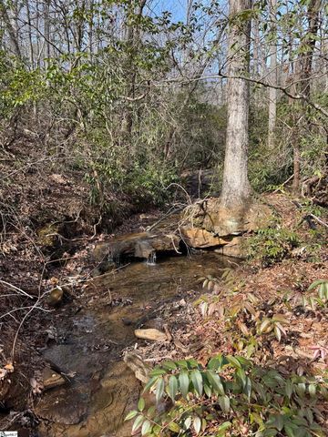 Butter Street, Landrum, SC 29356