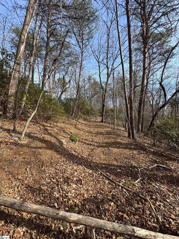Butter Street, Landrum, SC 29356