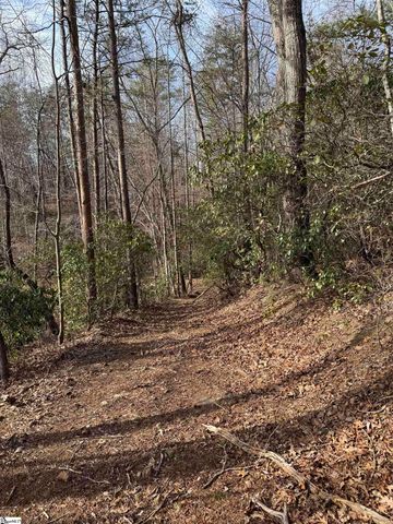 Butter Street, Landrum, SC 29356