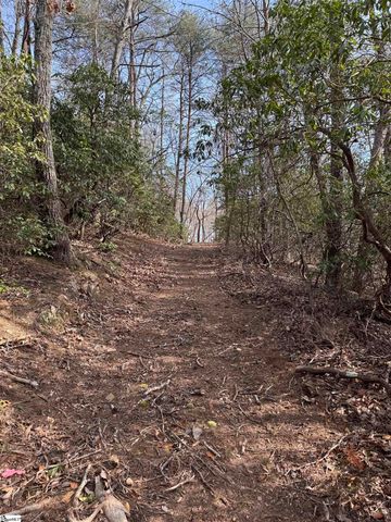 Butter Street, Landrum, SC 29356