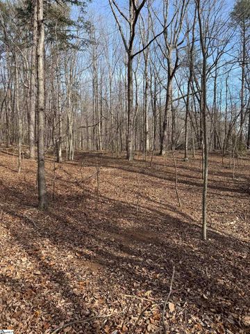 Butter Street, Landrum, SC 29356
