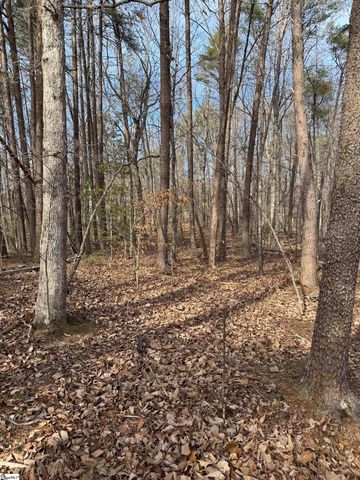 Butter Street, Landrum, SC 29356