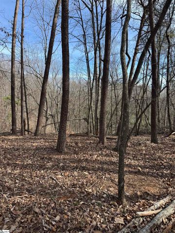 Butter Street, Landrum, SC 29356