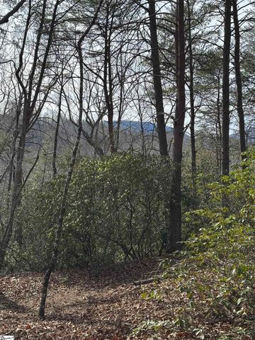 Butter Street, Landrum, SC 29356
