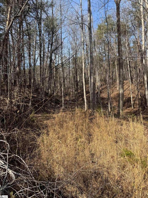 Butter Street, Landrum, SC 29356