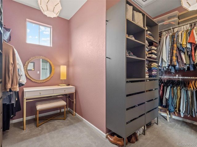 3033 Tamarac St, Denver, CO 80238