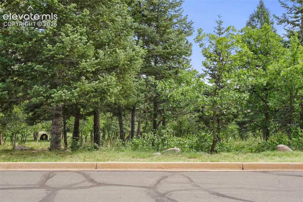 5085 Broadlake View, Colorado Springs, CO 80906 — photo 5
