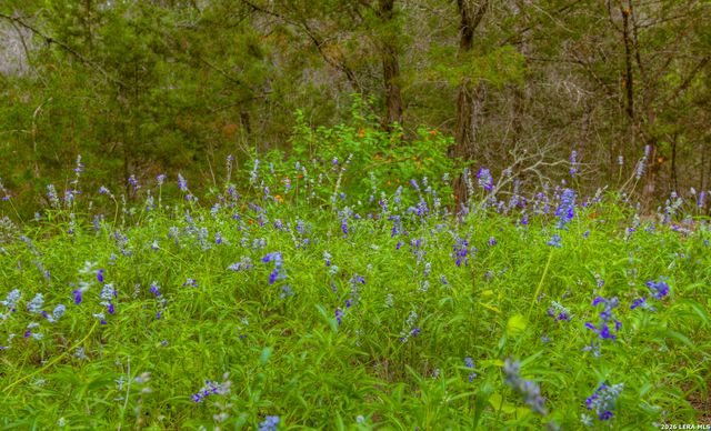105 Walnut Grove Rd, Boerne, TX 78006